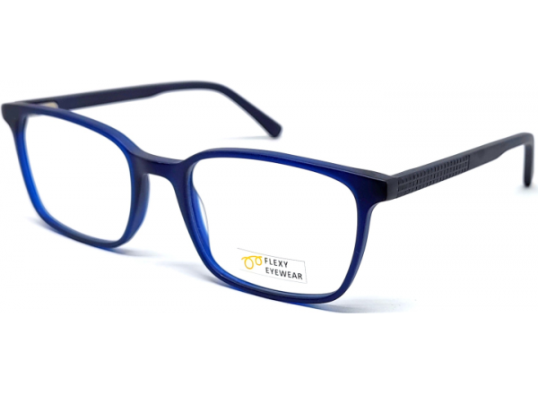 Akiniai darbui kompiuteriu FE AN 23264 C2