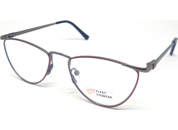 Akiniai darbui kompiuteriu FE DK 17751 C3