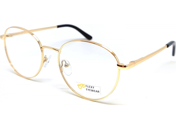 Akiniai darbui kompiuteriu FE MN 24343 C1