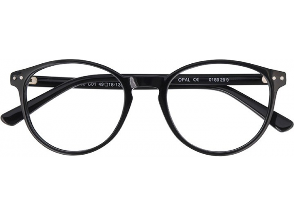 Akiniai darbui kompiuteriu OWII 283 C01