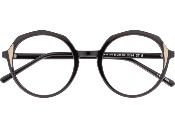 Akiniai darbui kompiuteriu OWII 434 C01