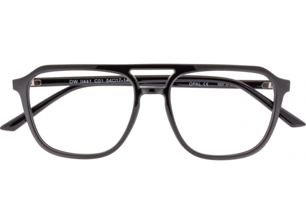 Akiniai darbui kompiuteriu OWII 441 C01