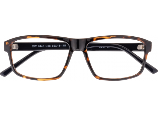 Akiniai darbui kompiuteriu OWII 443 C28