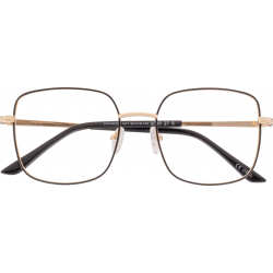 Akiniai darbui kompiuteriu OWMM 355 C01