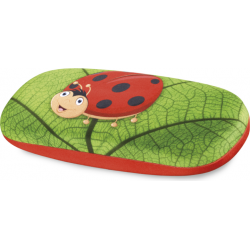 Akinių dėklas 60.019 C1