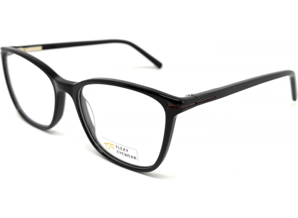 Akinių rėmelis FE AN 21054 C2