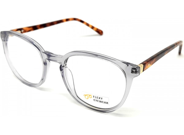 Akinių rėmelis FE AN 21085 C1