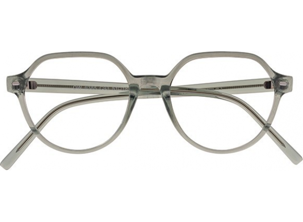 Akinių rėmelis OWII 385 C93