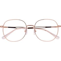 Akinių rėmelis OWMM 313 C10