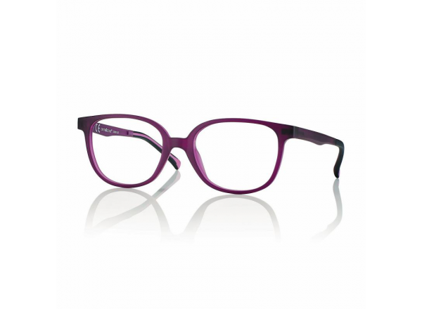 Akinių rėmelis su saulės klipsu Centro Style F0452 213