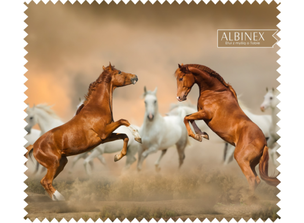 Akinių servetėlė 50.027 C330