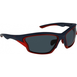 Saulės akiniai INVU A2902G