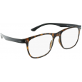 Skaitymo akiniai INVU B6126G +2,50
