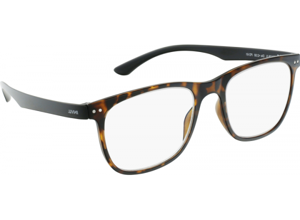 Skaitymo akiniai INVU B6126G +2,50