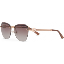 Saulės akiniai DESPADA DS 2408 C2