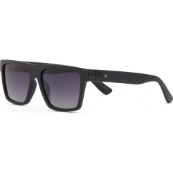 Saulės akiniai DESPADA DS 2426 C2