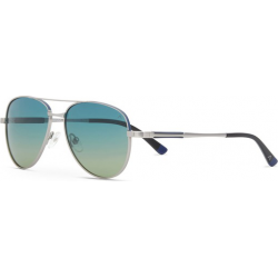 Saulės akiniai DESPADA DS 2429 C3