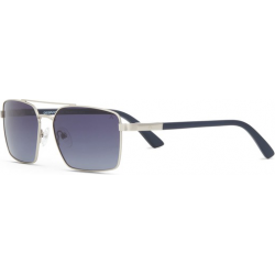 Saulės akiniai DESPADA DS 2433 C2