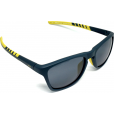 Saulės akiniai INVU A2110B